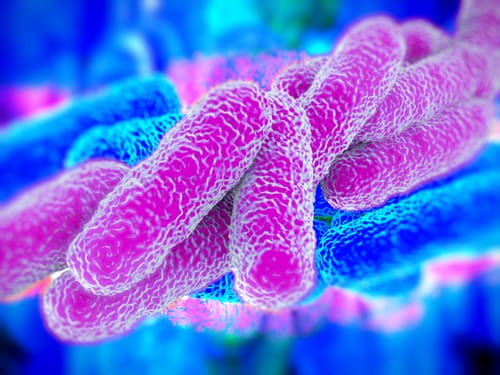 legionella testing for landlords